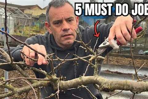 5 Gardening Tasks You Should Never Skip This Season