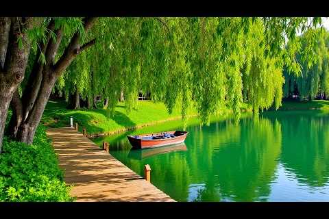 Restore Your Nervous System 🌿 Gentle Relaxing Music to Reduce Stress, Anxiety &amp; Overthinking