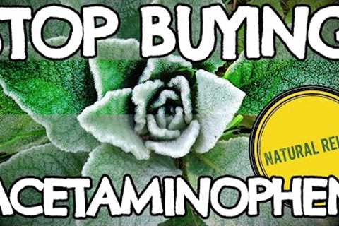 Arthritis Pain? Stop Buying Acetaminophen and Flood Your Joints with Natural Relief