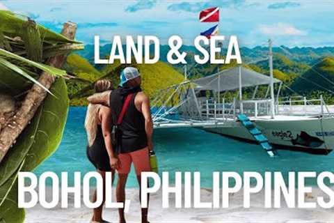 We Found Bohol’s Best Kept Secret: Scuba, Wildlife & Culture!