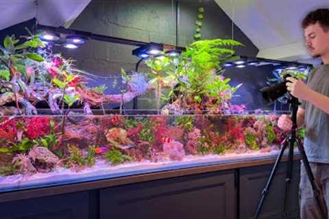 What Happened to My Saltwater Aquarium? (Big Changes Coming)
