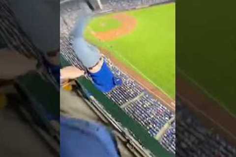 POV: This Home Run Catch Turned Wild 🤯🔥