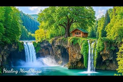 Gentle Piano Music 🌿 Relaxing Music Helps Reduce Stress &amp; Balance Emotions, Soothing The Soul.