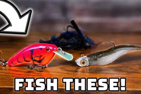 FEBRUARY Bass Fishing Lures To Catch Fish NOW!