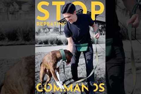How to teach any dog to actually respond to commands. (Fast!) #dogtraining  #puppytraining