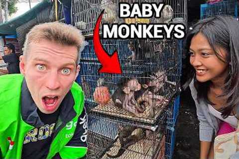 Inside an ILLEGAL Exotic Animal Market in Jakarta (Shocking!) 🇮🇩
