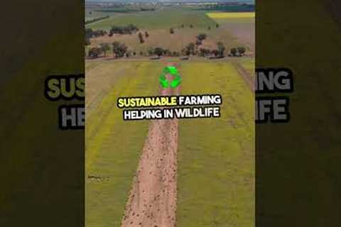 Top 8 Amazing Uses of Drone Technology 🚁#shorts #drone
