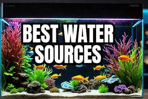 Here Are The BEST Fish Tank Water Sources