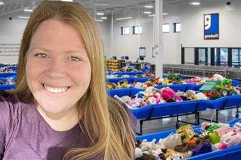 Goodwill Bins Haul to Sell on Whatnot