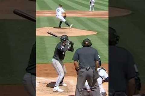 MLB players’ lightning-fast reflexes#baseball #mlb #baseball_highlights #majorleaguebaseball #funny