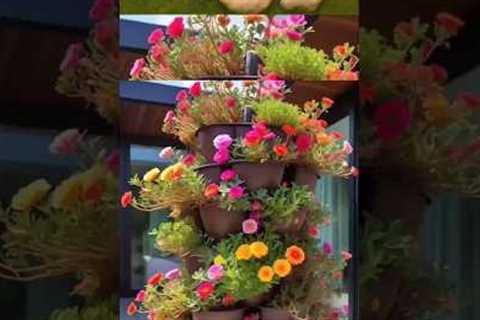 Gardening ideas For Beginners..