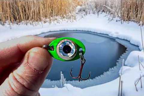 Fishing With A BATTERY Powered Lure!!! (FIRST One EVER!)