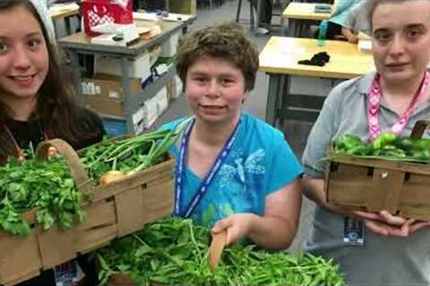 Job Training Program