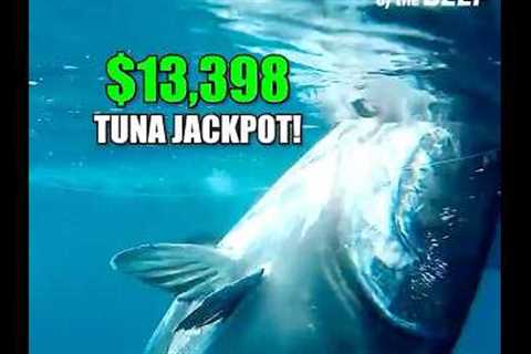 $13,398 Tuna Jackpot! Captain Dale’s Giant Crushes the Market!