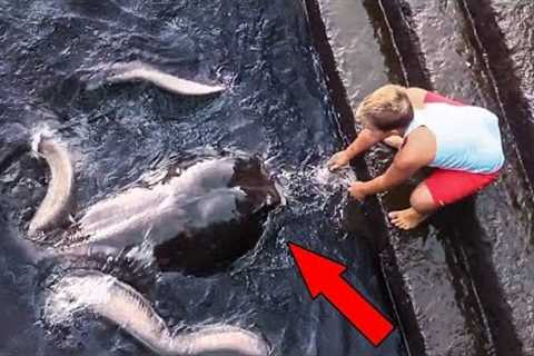 10 Unusual Friendship Between Human & Animal