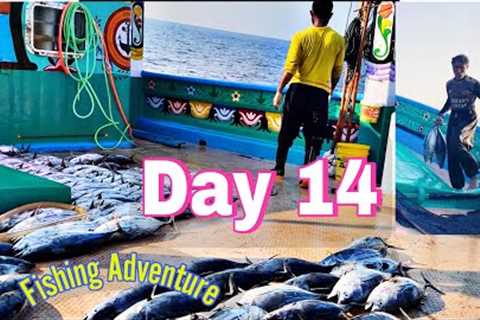 Big Fish Catch After a Tough Day! | Day 14 at Sea | S01-EP14 | Pakistani Ocean Series 🎣