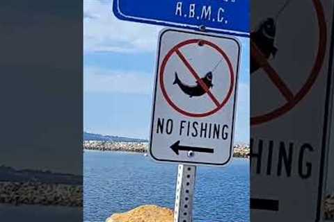 These signs lead to the best fishing spots!