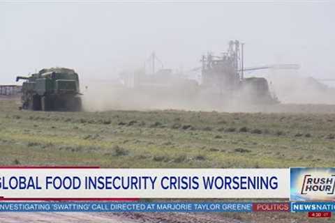 Global food insecurity crisis worsening | Rush Hour