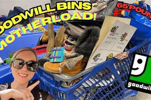 A Goodwill Bins✨MOTHERLOAD ✨!!  My Cart Was OverFlowing! Thrift With Me For 60+ Pounds! +HAUL!