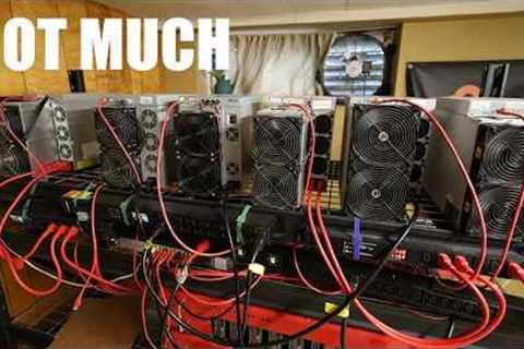 Crypto Mining in Feb 2026… What I’m Actually Earning Now