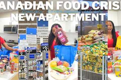 MOVING VLOG 10: HUGE Grocery Shopping Vlog + haul (Costco, Walmart, No frills) Fridge + pantry tour
