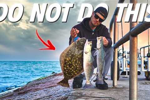 You Cannot Go Jetty Fishing Without Knowing This First...  YOU CANT CATCH FISH