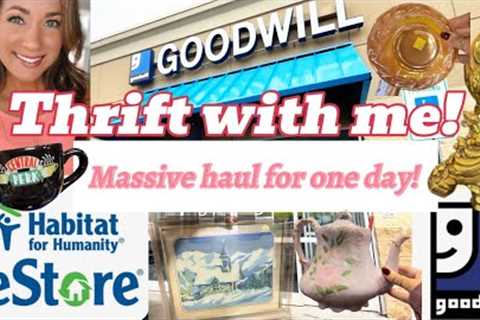 Huge Thrift Haul from Florence, SC Goodwills &amp; Habitat Restores 