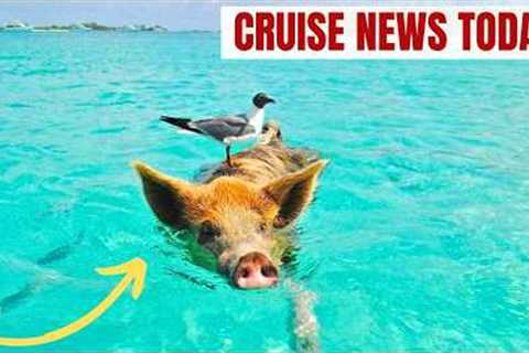 Popular Bahamas Cruise Excursion Sends Man to ICU