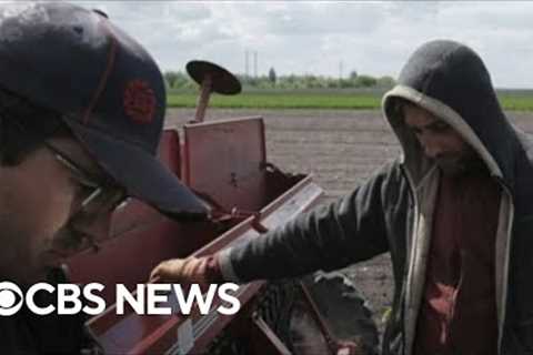 Russia's war in Ukraine amplifying global food insecurity, U.S. officials say