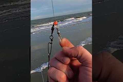 SURF FISHING TIP: Leader Line Vs Main Line Weight #beginner #surffishing #fishing #heavy #beach