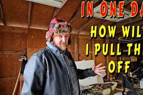 THIS WAS A MASSIVE UNDERTAKING tiny house, homesteading, off-grid, cabin build, DIY, HOW TO tractor
