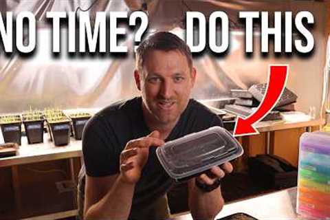 Seed Starting for Busy Gardeners: The Fast & Simple Method I Use