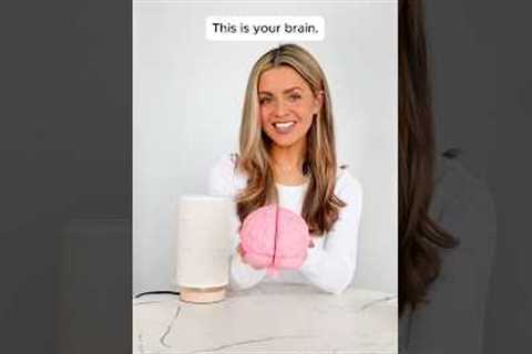 This Is What Junk Food Does To Your Brain 🧠👀⚡️#health #wellness