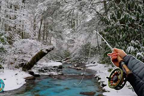 A Week of Fly Fishing for Trout in Record Breaking Cold!!