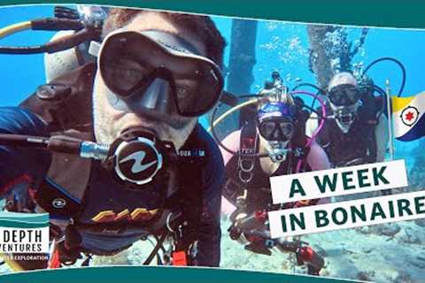 A Week of Diving in Bonaire!