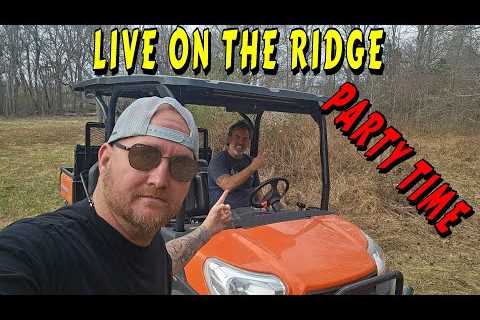 GRILLING AND CHILLING LIVE |tiny house, homesteading, off-grid, cabin build, DIY HOW TO tiny cabin