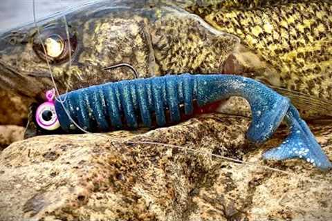 Carve to Mold to Pour to Catch to Clean to Cook Walleye SwimBait