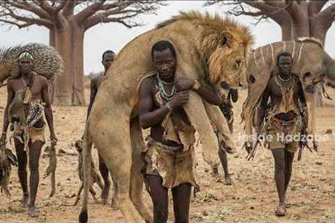 Hadzabe Tribe Hunting: Extreme Survival Kudu Hunt And Dangerous Lion Encounters in Africa