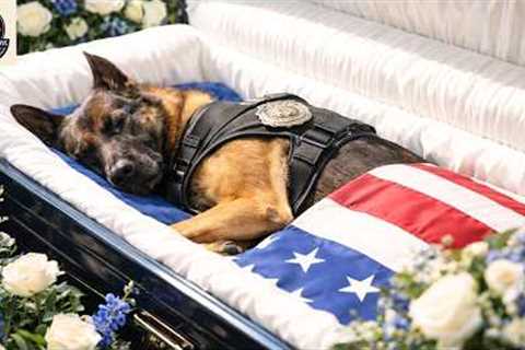 SAN JUAN POLICE K9 REX END OF WATCH CEREMONY  |  top best dog training techniques