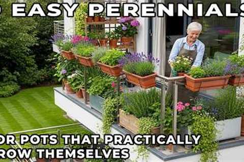 9 Easy Perennials for Pots That Practically Grow Themselves