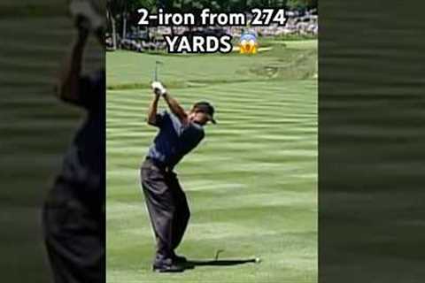 Just Tiger Woods things 🐅