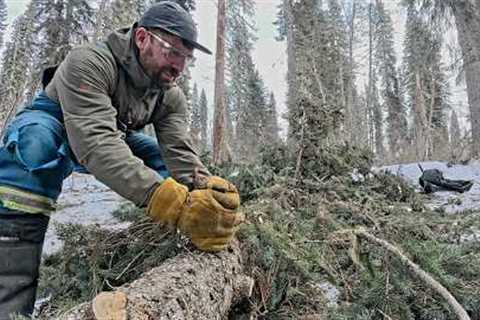 Off Grid Mountain Homestead | Cabin Build