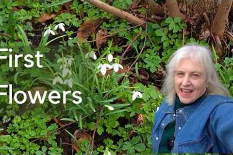 After All That Rain! A Late Winter Garden Tour