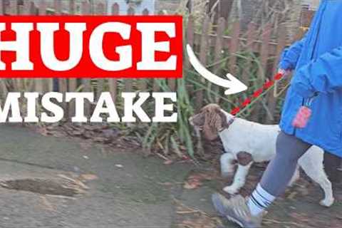 The FASTEST Way To STOP Your Dog Pulling (Guaranteed)