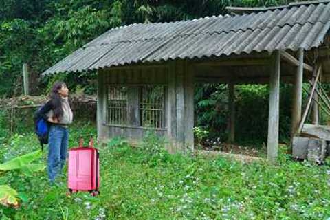 Full video: Leaving the city for the forest to clear land: building houses, constructing farms.