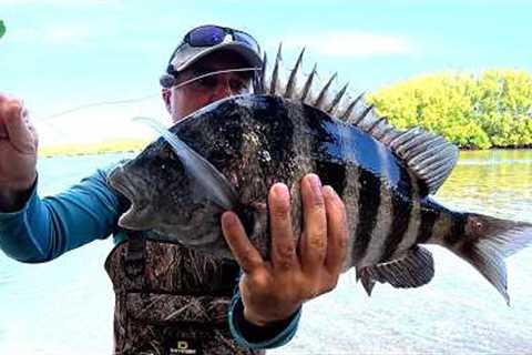 How to Catch Sheepshead!! Ultimate Fishing Tutorial