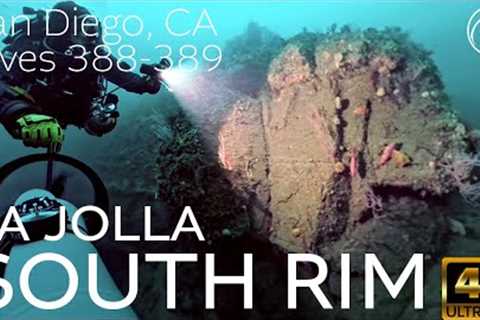 SCUBA How To DPV Dive La Jolla South Rim - San Diego, CA 2025 - 4k