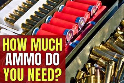 How Much Ammo Should You Stockpile?