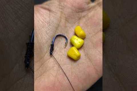 Fishing technique using three grains of corn bait 🌽 #tutorial #gtknot #fish #fishingtip..