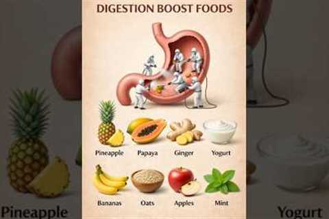Digestion Boost Foods | Supporting a Healthy Gut Naturally